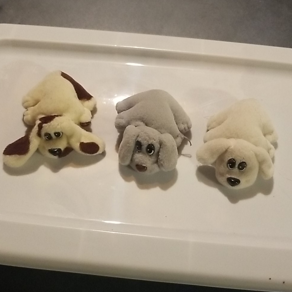 Pound Puppies (1990's)